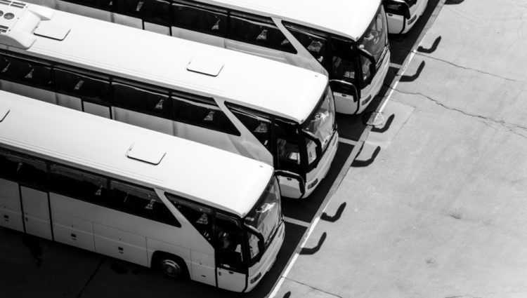 parked white buses for event transportation