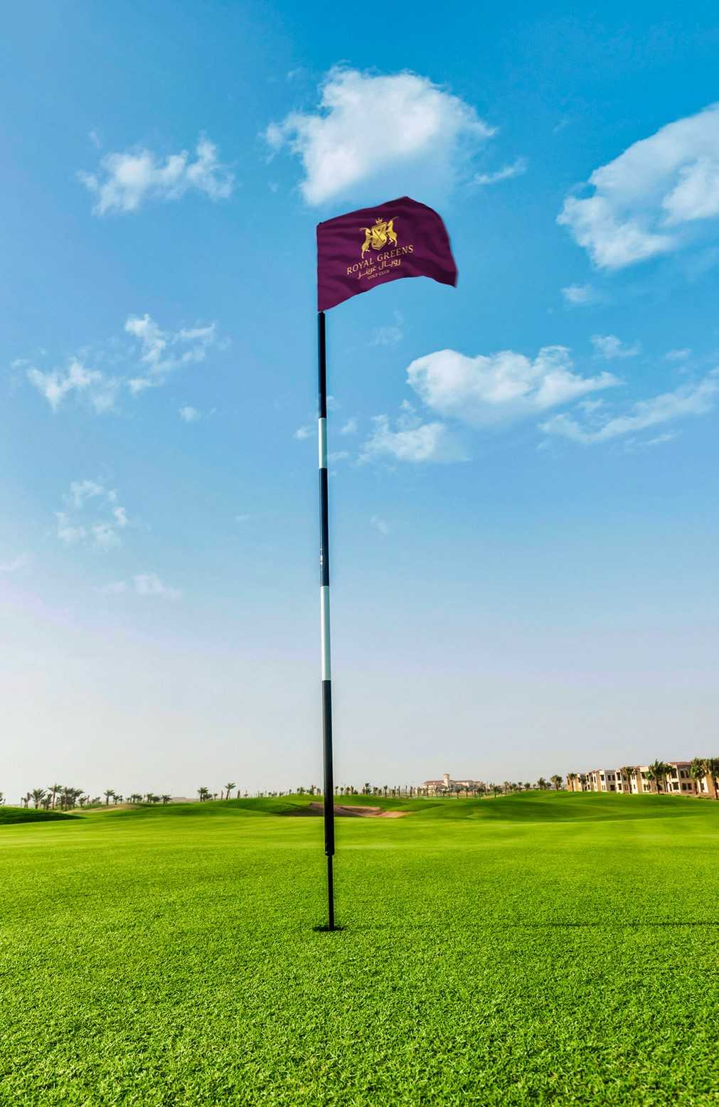 golf course with flag